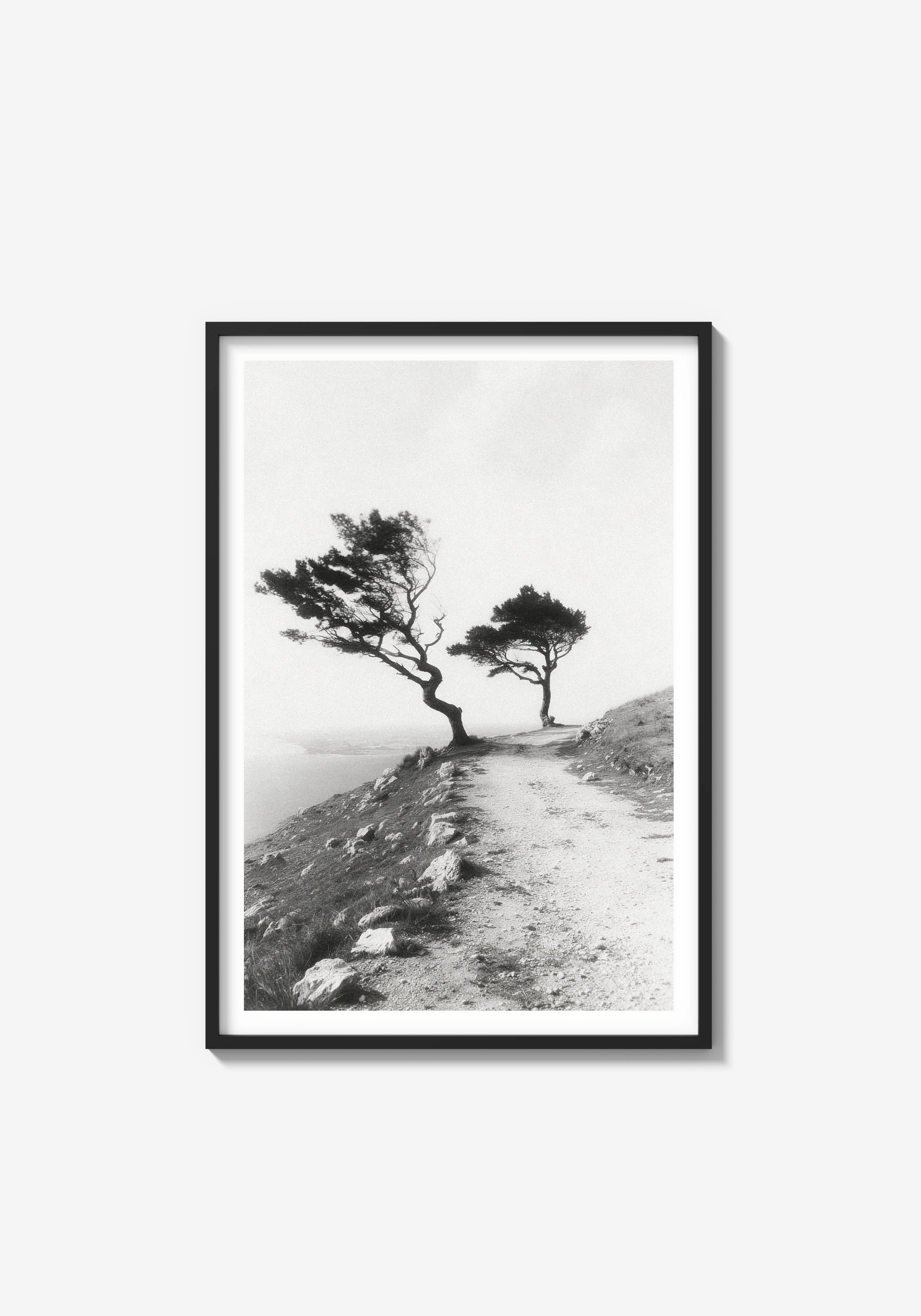 They Kept Their Shape