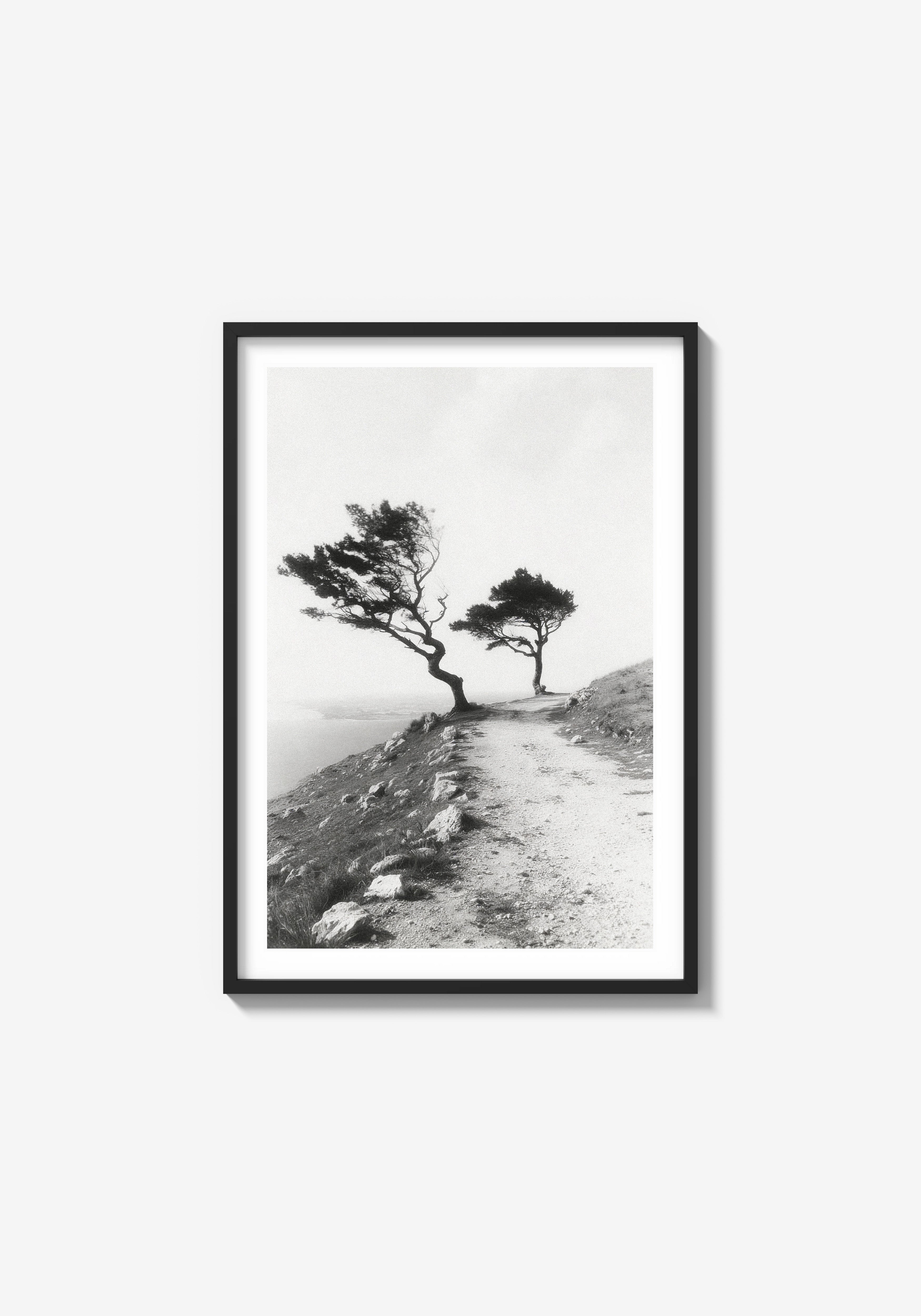 They Kept Their Shape