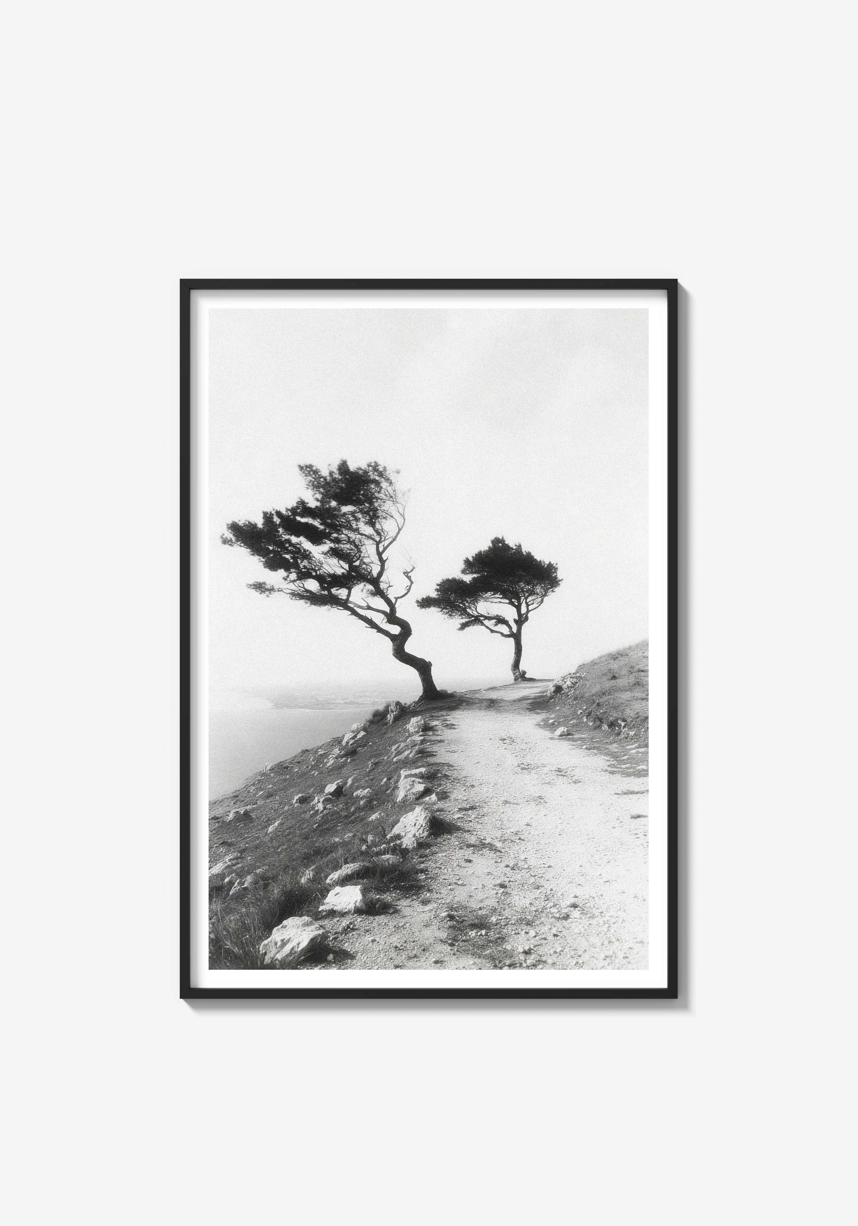 They Kept Their Shape