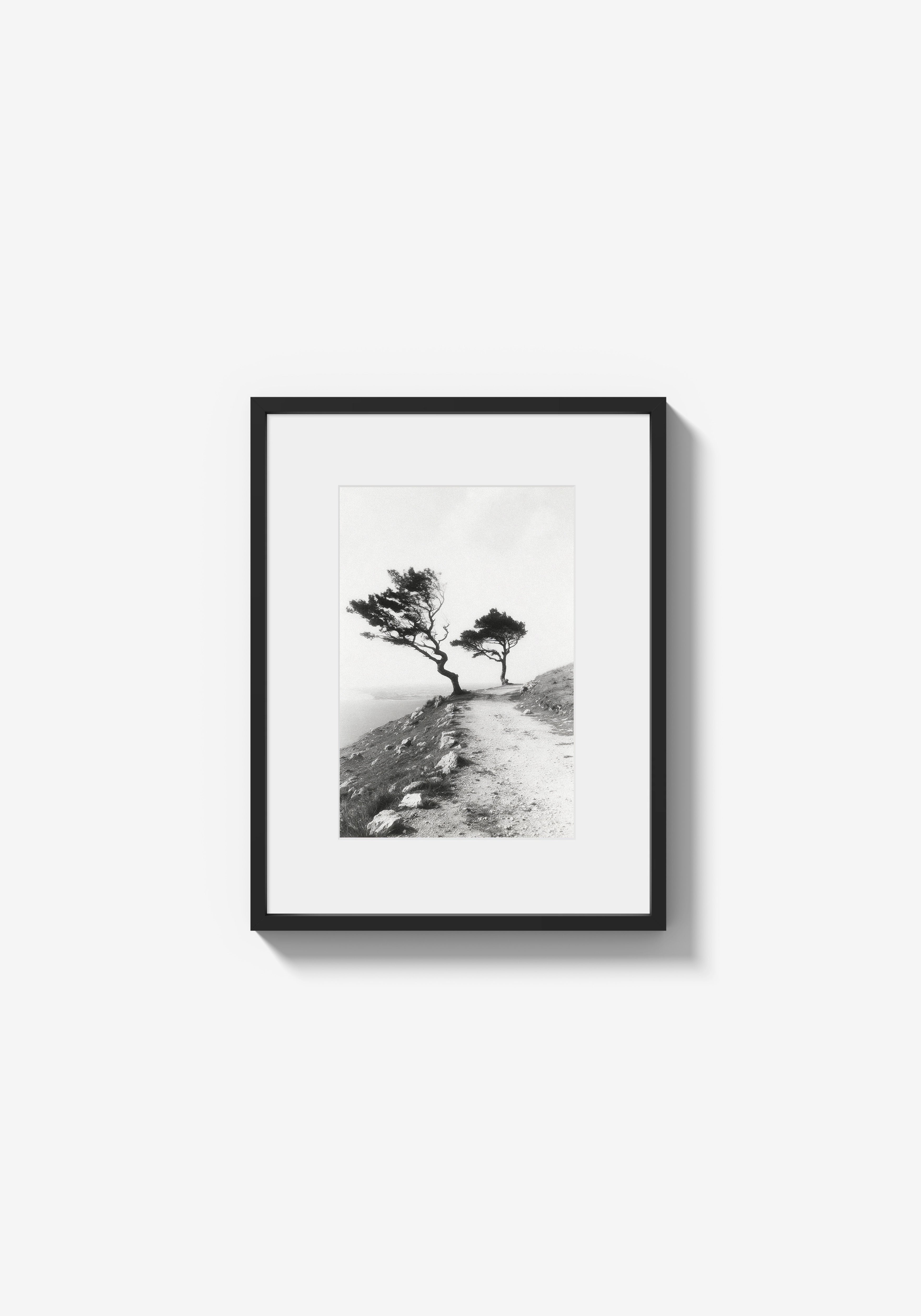 They Kept Their Shape